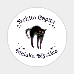 Itchita Copita Melaka Mystica Magnet